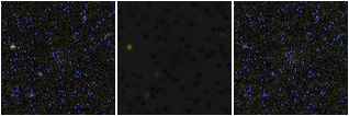 Missing file EVCC0629-custom-montage-FUVNUV.png