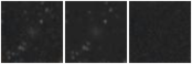 Missing file EVCC0629-custom-montage-W1W2.png