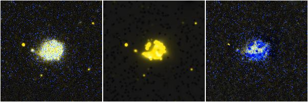 Missing file NGC4390-custom-montage-FUVNUV.png