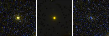 Missing file NGC4391-custom-montage-FUVNUV.png