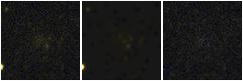 Missing file PGC040338-custom-montage-FUVNUV.png