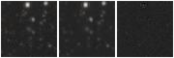 Missing file PGC040388-custom-montage-W1W2.png