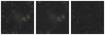 Missing file PGC040424-custom-montage-W1W2.png