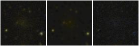 Missing file PGC040434-custom-montage-FUVNUV.png