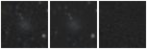 Missing file PGC040434-custom-montage-W1W2.png