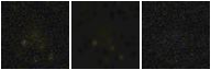 Missing file PGC040437-custom-montage-FUVNUV.png