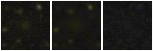 Missing file PGC040444-custom-montage-FUVNUV.png