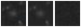 Missing file PGC040462-custom-montage-W1W2.png