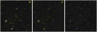 Missing file PGC040468-custom-montage-FUVNUV.png