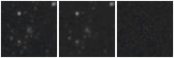 Missing file PGC040468-custom-montage-W1W2.png