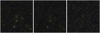 Missing file PGC040554-custom-montage-FUVNUV.png