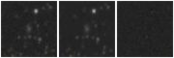 Missing file PGC040554-custom-montage-W1W2.png