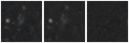 Missing file PGC040615-custom-montage-W1W2.png
