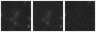Missing file PGC040617-custom-montage-W1W2.png