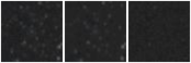 Missing file PGC040630-custom-montage-W1W2.png
