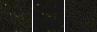 Missing file PGC040631-custom-montage-FUVNUV.png