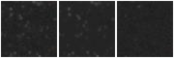Missing file PGC040631-custom-montage-W1W2.png