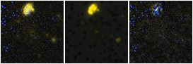 Missing file PGC040732-custom-montage-FUVNUV.png