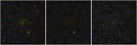Missing file PGC040759-custom-montage-FUVNUV.png