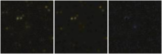 Missing file PGC040769-custom-montage-FUVNUV.png