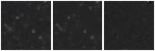 Missing file PGC040769-custom-montage-W1W2.png