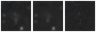 Missing file PGC040779-custom-montage-W1W2.png