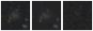 Missing file PGC040831-custom-montage-W1W2.png