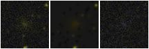 Missing file PGC040834-custom-montage-FUVNUV.png