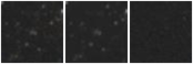 Missing file PGC040881-custom-montage-W1W2.png