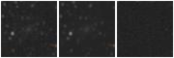 Missing file PGC040899-custom-montage-W1W2.png