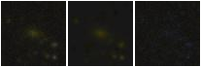 Missing file PGC040917-custom-montage-FUVNUV.png