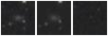 Missing file PGC040917-custom-montage-W1W2.png