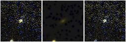 Missing file PGC1282537-custom-montage-FUVNUV.png