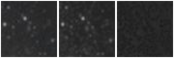 Missing file PGC169266-custom-montage-W1W2.png