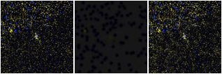 Missing file PGC2183352-custom-montage-FUVNUV.png