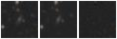Missing file PGC2670839-custom-montage-W1W2.png
