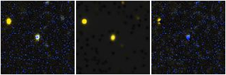 Missing file SDSSJ122624.54+041900.8-custom-montage-FUVNUV.png