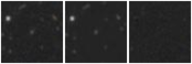 Missing file SDSSJ122624.54+041900.8-custom-montage-W1W2.png