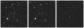 Missing file AGC229379-custom-montage-W1W2.png