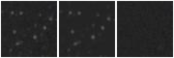 Missing file KHL2017_M87UCD-20-custom-montage-W1W2.png