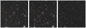 Missing file KHL2017_M87UCD-9-custom-montage-W1W2.png