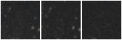 Missing file KHL2017_UCD52-custom-montage-W1W2.png