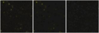 Missing file KHL2017_UCD55-custom-montage-FUVNUV.png