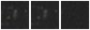 Missing file PGC040946-custom-montage-W1W2.png