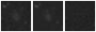 Missing file PGC040969-custom-montage-W1W2.png