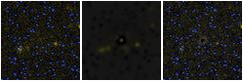 Missing file PGC040972-custom-montage-FUVNUV.png