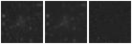 Missing file PGC040972-custom-montage-W1W2.png