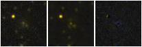 Missing file PGC040995-custom-montage-FUVNUV.png