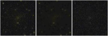 Missing file PGC041124-custom-montage-FUVNUV.png