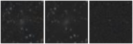 Missing file PGC041124-custom-montage-W1W2.png